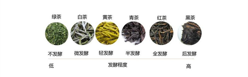 中国白茶