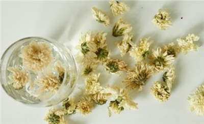 菊花茶的作用有哪些，喝菊花茶的作用有哪些-图片1