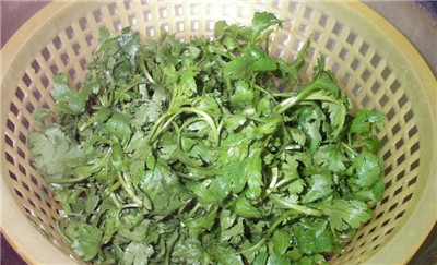 菊花脑资料介绍，菊花脑图片，菊花脑的主要价值-图片2