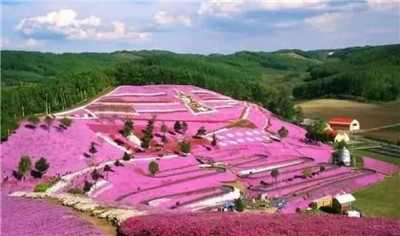保加利亚玫瑰谷在哪里，保加利亚玫瑰谷的旅游景点有哪些-图片1