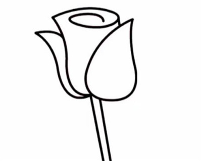 玫瑰花简笔画步骤，玫瑰花简笔画怎么画-图片4