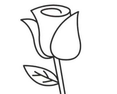 玫瑰花简笔画步骤，玫瑰花简笔画怎么画-图片5