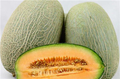 哈密瓜资料介绍,哈密瓜图片,3分钟快速了解哈密瓜-图片1