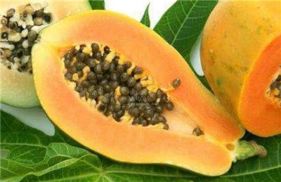 夏威夷木瓜资料介绍,夏威夷木瓜的营养价值和功效作用-图片2