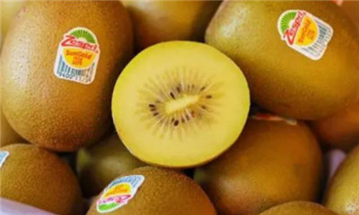 佳沛猕猴桃是哪里的,佳沛猕猴桃为什么那么贵-图片1