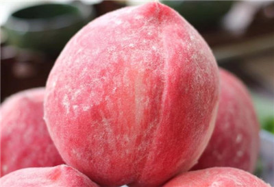 密桃资料介绍,3分钟快速了解密桃-图片1