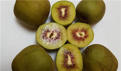 猕猴桃产地在哪里,盘点知名的猕猴桃产地-图片1