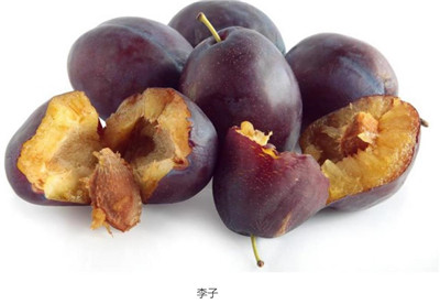 西梅和李子有啥区别，西梅和李子的区别有哪些-图片1