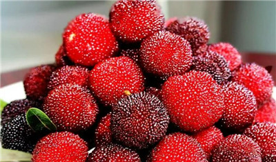 杨梅什么时候成熟,杨梅什么时候上市-图片2