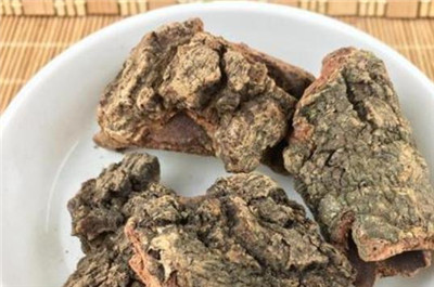 杨梅树皮资料介绍，杨梅树皮的功效和作用及禁忌