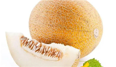 哈密瓜资料介绍,哈密瓜图片,3分钟快速了解哈密瓜-图片2