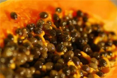 木瓜籽能吃吗，木瓜籽的功效和作用-图片2