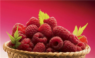 树莓资料介绍，树莓图片，树莓的功效和作用-图片2