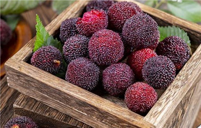 杨梅怎么洗，杨梅正确的清洗方法，杨梅怎么清洗才干净-图片1