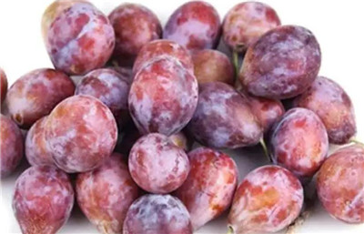 西梅产地在哪里，西梅价格多少钱一斤-图片1