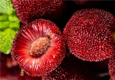 女人吃杨梅有什么好处，女人吃杨梅的功效和作用-图片2