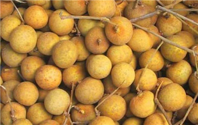 龙眼吃多了会上火吗，龙眼一天吃多少比较合适-图片2