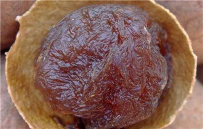 龙眼干的作用和功效,龙眼干泡水喝的功效有哪些-图片1