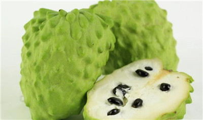 番荔枝资料介绍，番荔枝图片，3分钟快速了解番荔枝-图片1