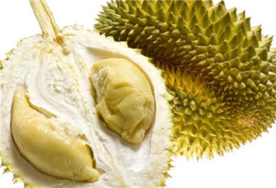 榴莲资料介绍,榴莲图片,3分钟快速了解榴莲-图片1