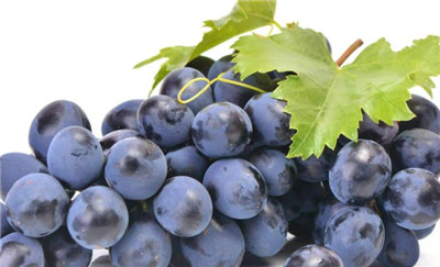 葡萄是热性还是凉性，3分钟了解葡萄是热性还是凉性-图片2