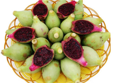 火龙果和仙人掌的区别有哪些，3分钟了解火龙果和仙人掌的区别-图片1