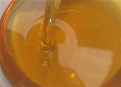 龙眼蜜资料介绍，龙眼蜜的功效和作用-图片2