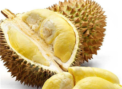 榴莲资料介绍,榴莲图片,3分钟快速了解榴莲-图片2