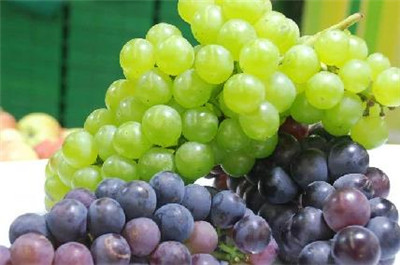 葡萄是热性还是凉性，3分钟了解葡萄是热性还是凉性-图片1