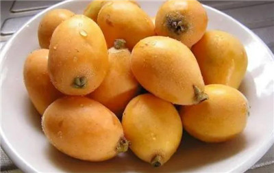 枇杷花的功效和作用，枇杷花的食用方法-图片2