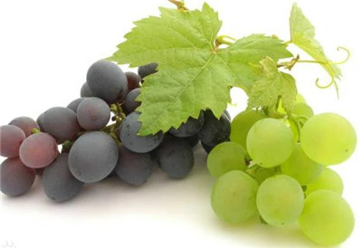 盆栽葡萄怎么养，盆栽葡萄的养殖方法和注意事项-图片1