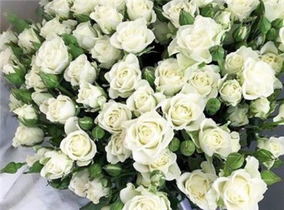 情人节送女朋友什么花，情人节送女朋友什么花最好-图片1