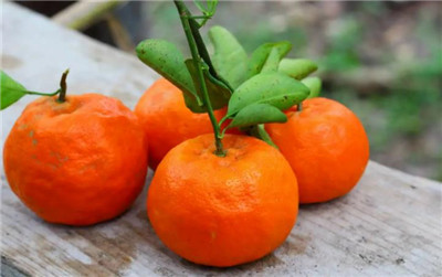 橘子皮泡水喝的功效和作用，橘子皮泡水喝的禁忌有哪些-图片2