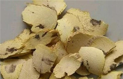 关木通图片，关木通的功效和作用及禁忌，关木通和木通的区别