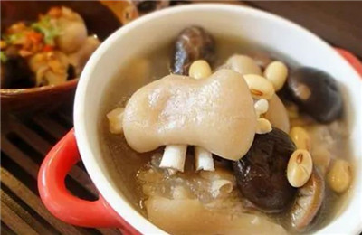 通草怎么吃，通草的吃法有哪些-图片2