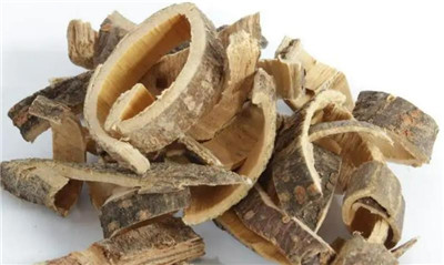 合欢皮的功效与作用及食用方法-图片1