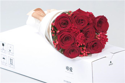 圣诞节送什么花最好，圣诞节送什么花合适-图片1