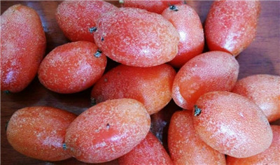 羊奶果资料介绍，羊奶果的功效和作用及禁忌，羊奶果的营养价值-图片3