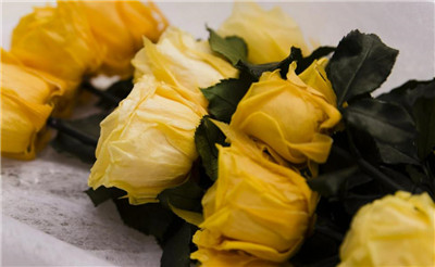 永生花是什么，永生花是真花吗-图片3